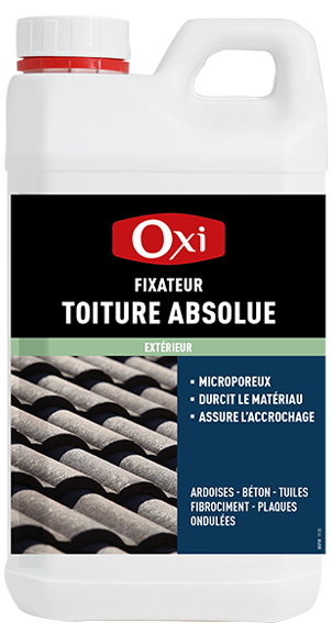 Fixateur toiture Absolue